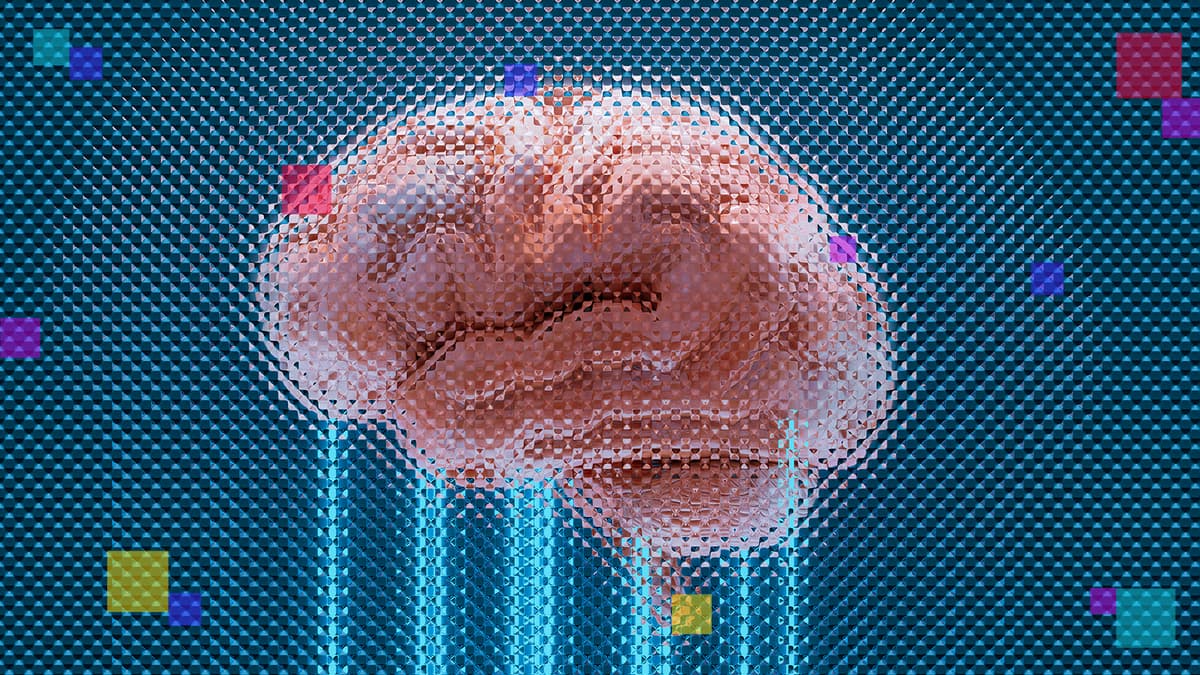 El Algoritmo del Odio: Cómo el Diseño de Plataformas Digitales Impulsa el Ecosistema Extremista